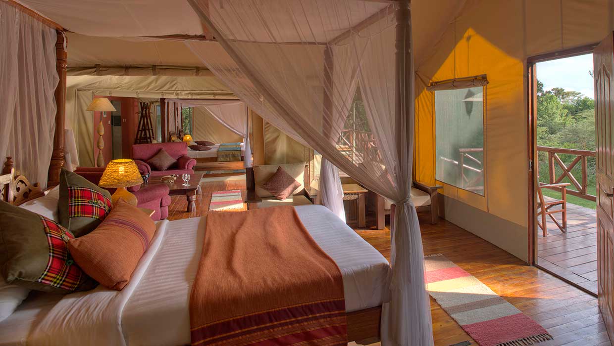 Uganda Bwindi Forest Camp